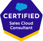 certified_sales_cloud_consultant