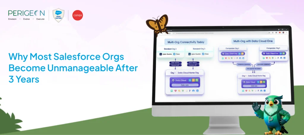 why most salesforce orgs become unmanageable after