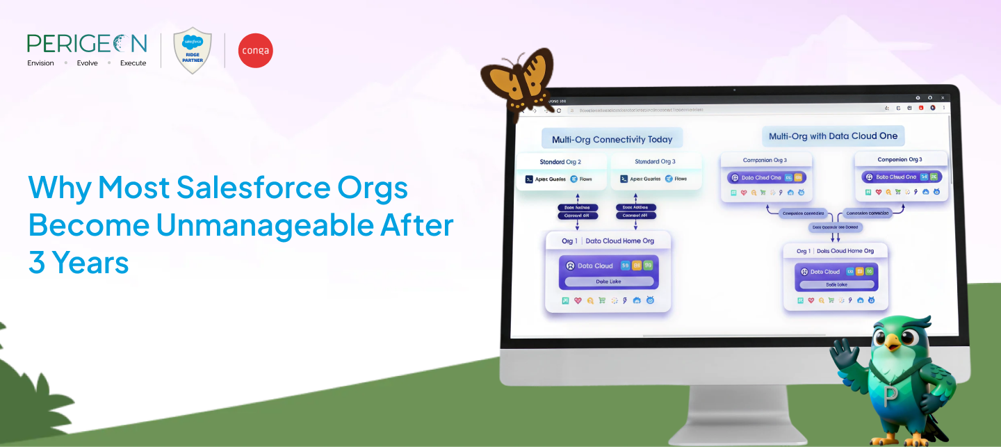 why most salesforce orgs become unmanageable after