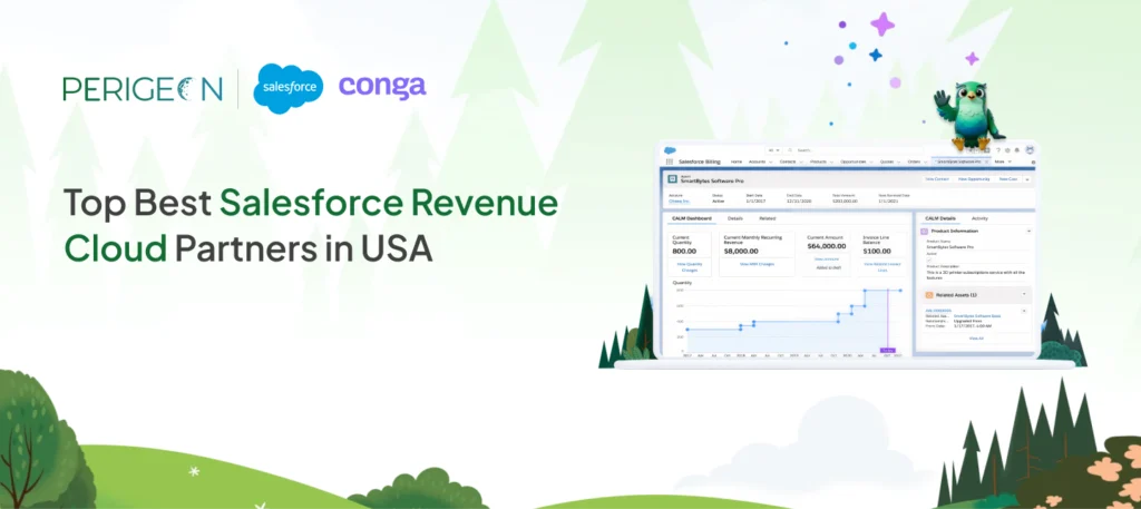 17 june top best salesforce revenue cloud partners in usa