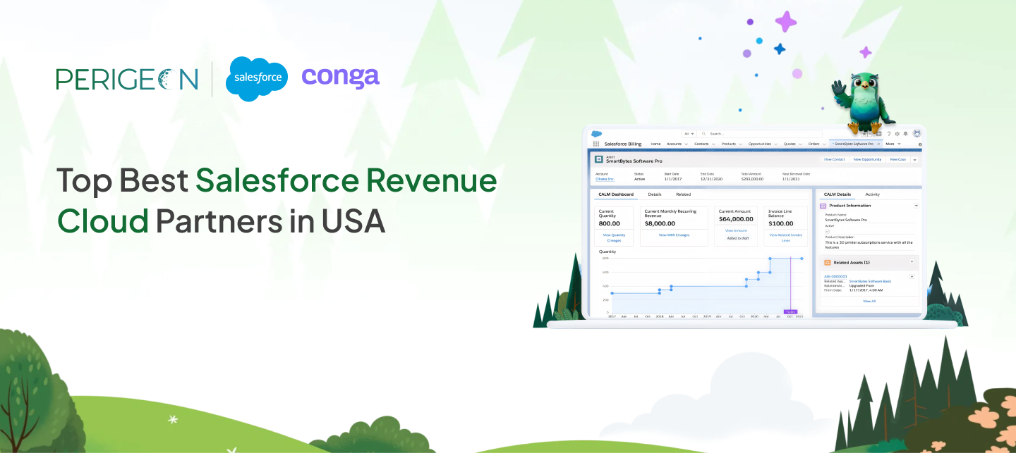 17 june top best salesforce revenue cloud partners in usa
