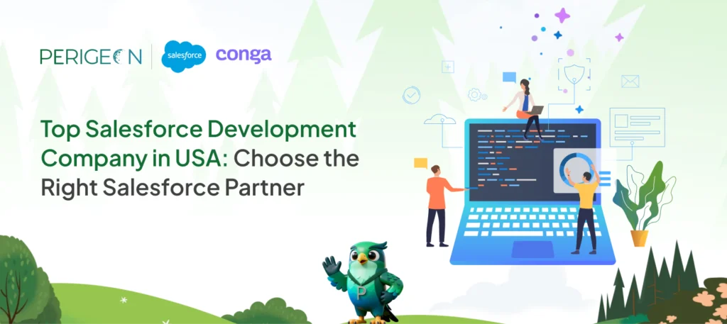 Salesforce Development Companies in USA